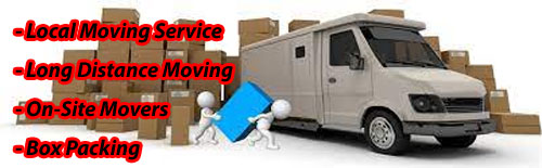 Packers And Movers Noida Sector 19